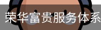 荣华富贵服务体系